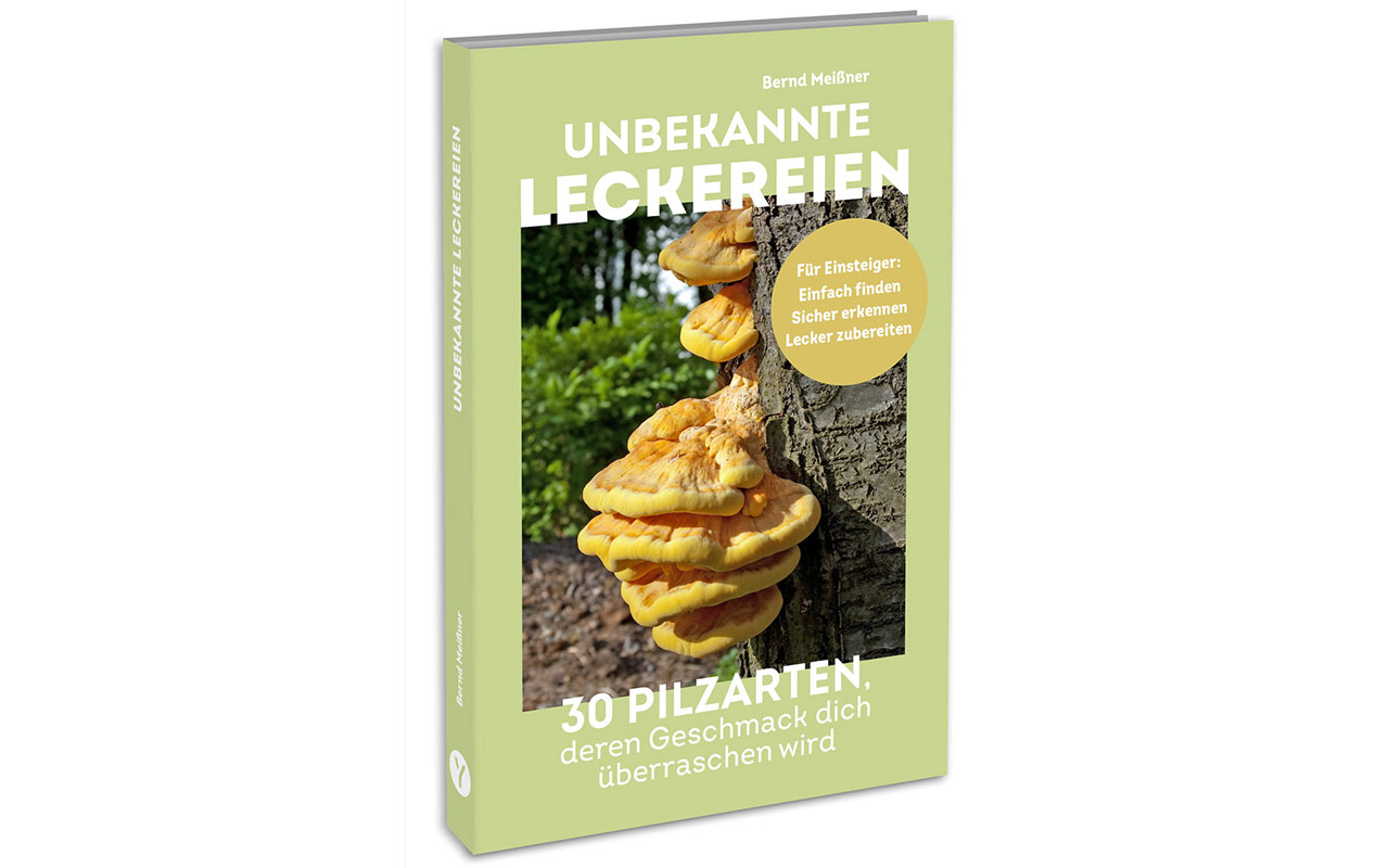 Buchcover „Unbekannte Leckereien – 30 Pilzarten, deren Geschmack dich überraschen wird.“ 