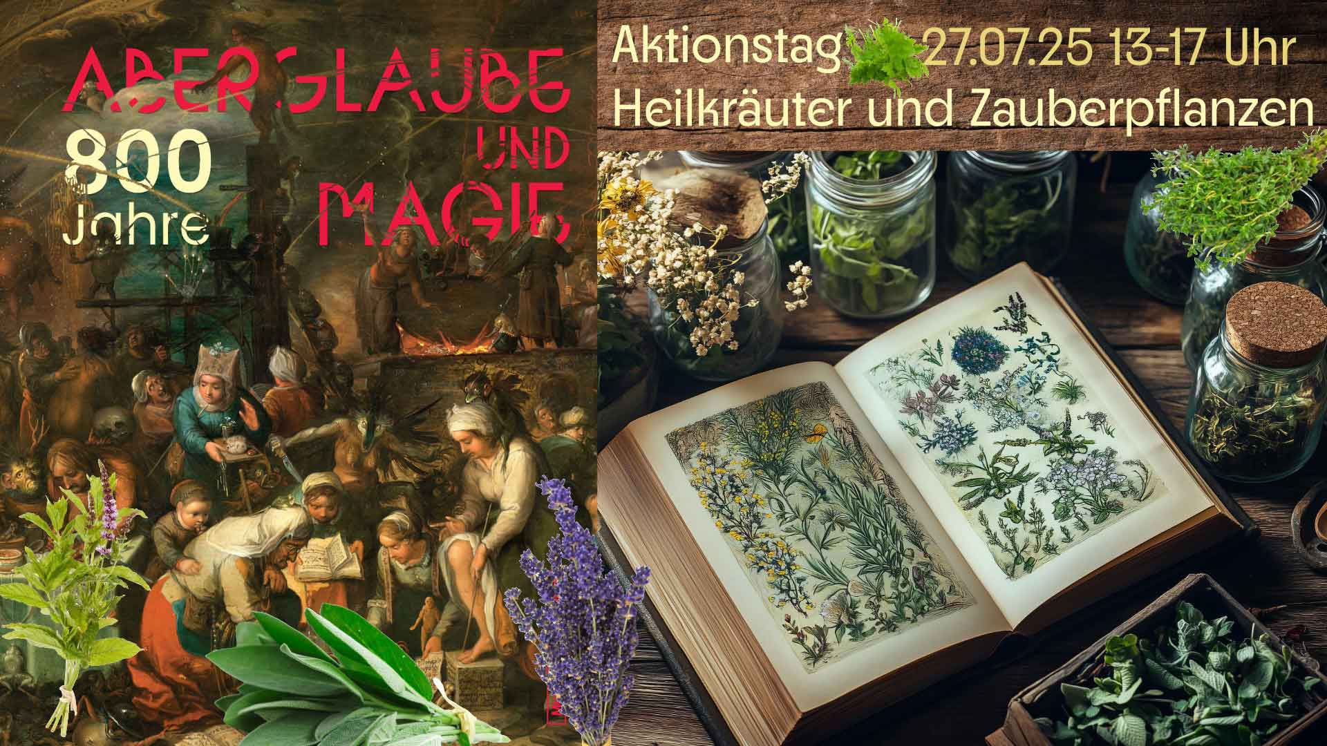 Collage_Aktionstag_Heilkräuter und Zauberpflanzen