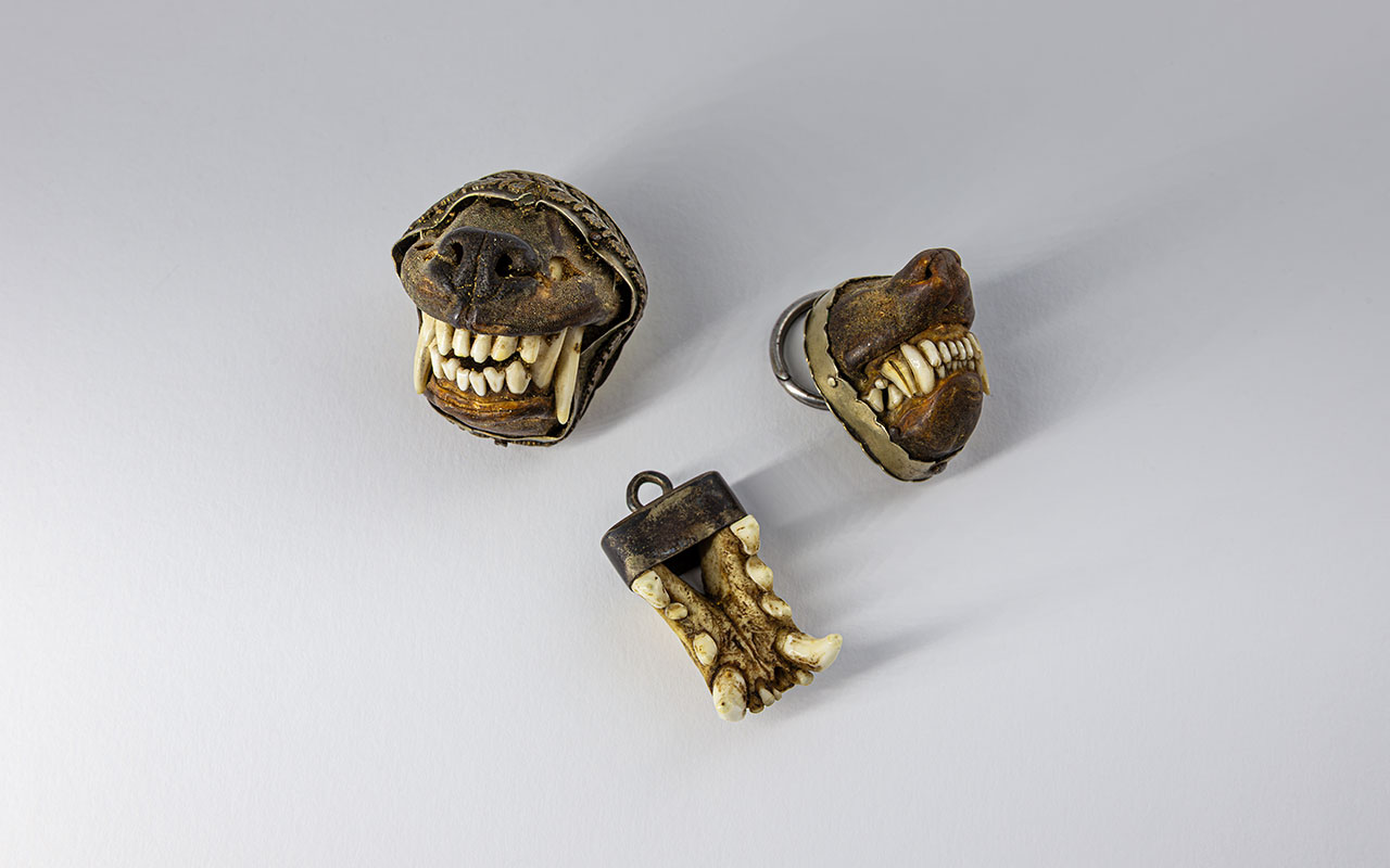 Amulette aus Raubtiergebissen zur Hexenabwehr