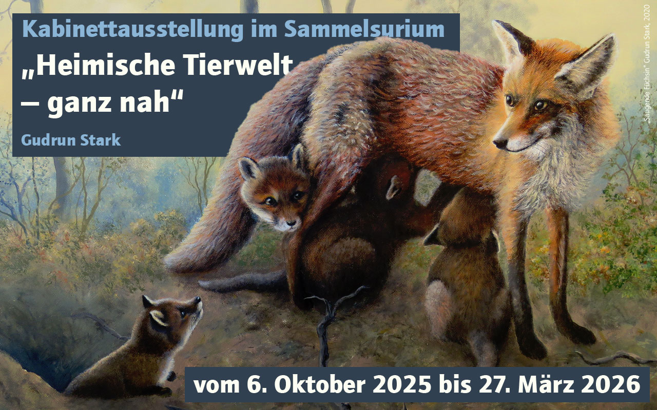 "Säugende Füchsin" – Gudrun Stark
