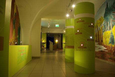 Tropenparadies Lausitz? Klimawandel im Tertiär - Museum der Westlausitz Kamenz