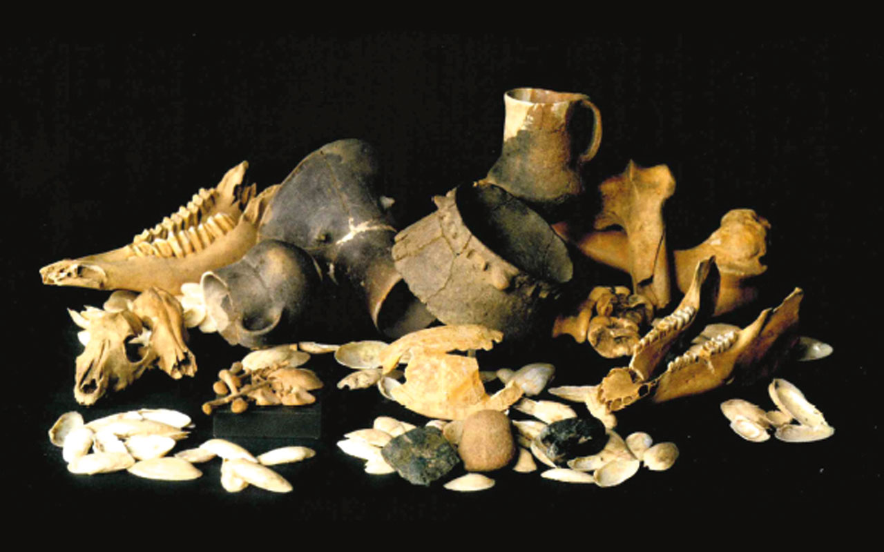 Inventar aus der "Ritualgrube" der Salzmünder Kultur (um 3300 v. Chr.) in Zauschwitz bei Pegau, ©Landesamt für Archäologie Sachsen, Foto: Jürgen Lösel
