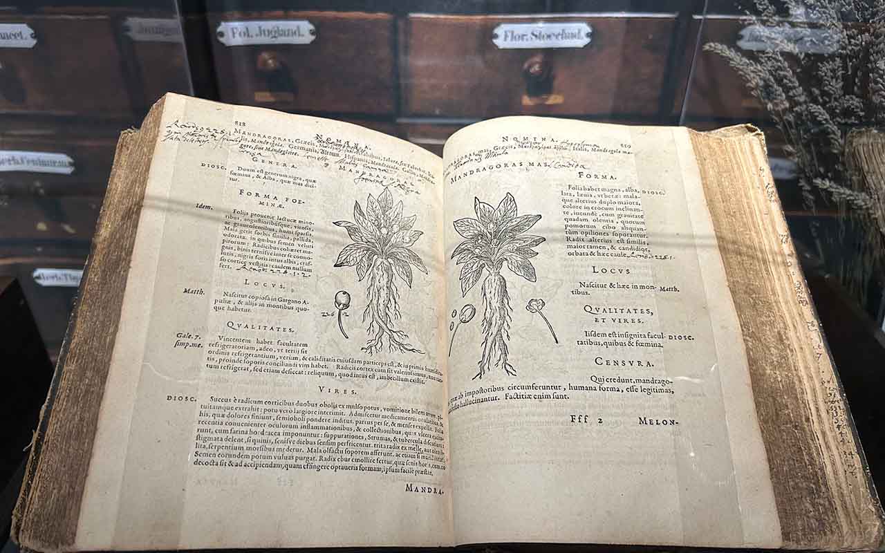 Buch mit Heilkräuter 