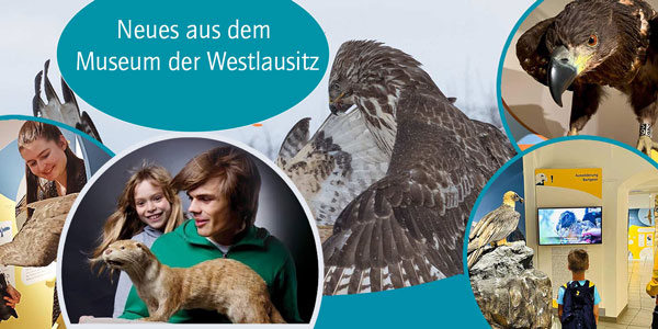 Newslettervorschau Museum der Westlausitz Kamenz